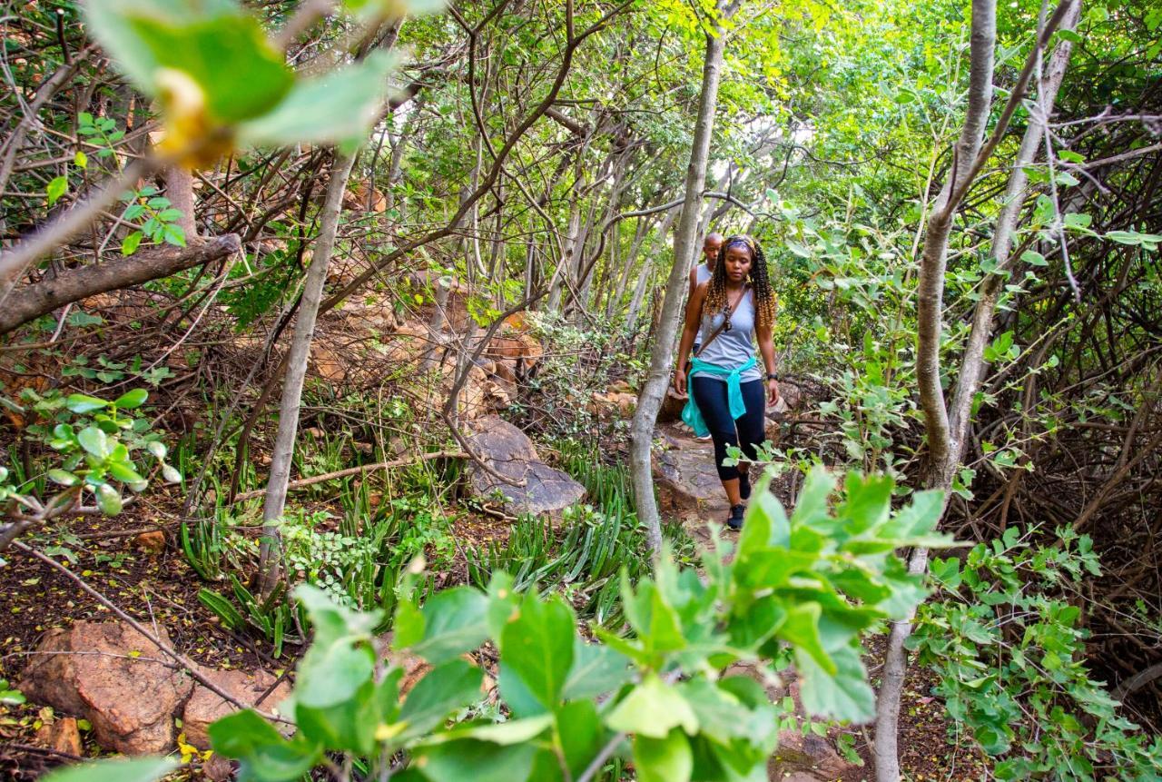 The Cliffside Boutique Getaway Konuk evi Johannesburg Dış mekan fotoğraf